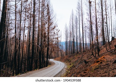 Rock Creek Fire In Glide Oregon