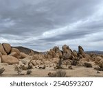 Rock desert landscape in joshua tree