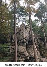 rock face between two trees