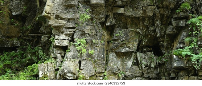 Rock face in a forest made up of large, angular blocks of stone covered in patches of green moss and ferns. There is a small cave or crevice in the center of the rock face.