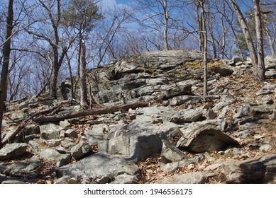 Rock Face Structure With Trees