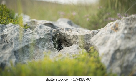 Rock in a field in France