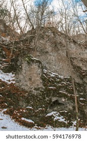 Rock in forest.