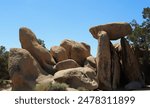 Rock formation, Joshua Tree National Park, California, United States