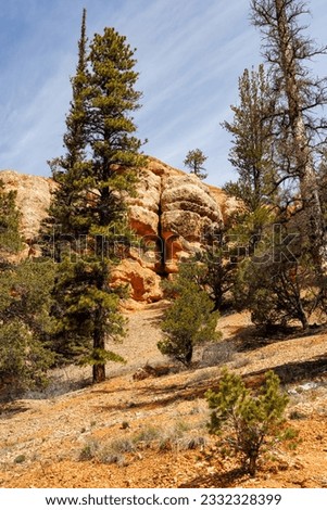 Rock formation near Butch Cassidy Draw located on Highway 12 in southern Utah
