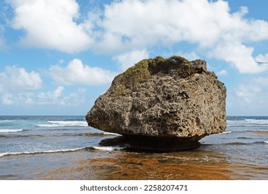 A rock formation on the beach at Bathsheba on the east coast of the island of Barbados. - Powered by Shutterstock