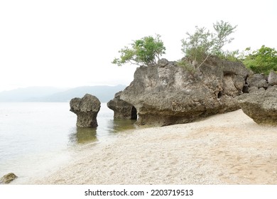 Rock formation on a sea shore, no people