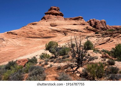 Rock Formation, Textures, Garden Of Eden, Arches National Park, Utah, USA