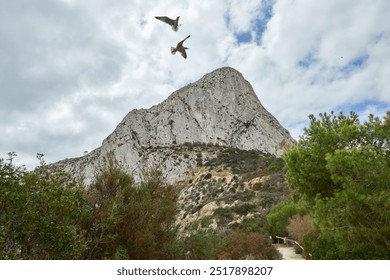 Rock formation under a clear blue sky with two seagulls flying over lush green trees on a sunny day in a serene natural landscape perfect for tourism - Powered by Shutterstock