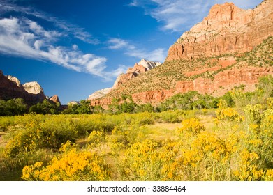 Rock Formation In Zion National Park With Yellow Flowers In Foreground