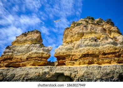 
Rock Formations In The Algarve. Elephant Rock Drinking