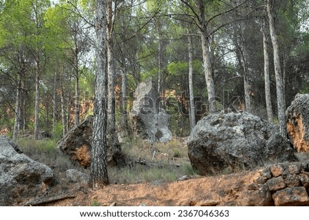 Rock formations among the trees, some looking like menhirs, in the forest of La Muela mountain in Rincón de Ademuz on the Iberian Peninsula