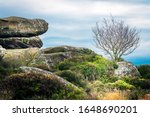 The rock formations at Brimham in Nidderdale are scattered over 50 acres on Brimham Moor