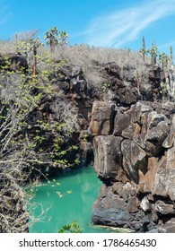 Rock Formations At Coastline At Santa Cruz Island Galápagos Islands Ecuador