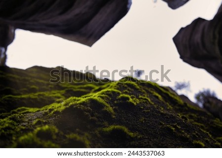 Adršpašské skály - rock formations covered with moss
