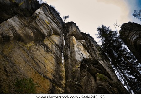 Adršpašské skály - rock formations covered with moss