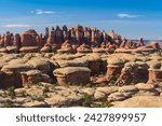Rock formations, the needles section of canyonlands national park, utah, usa