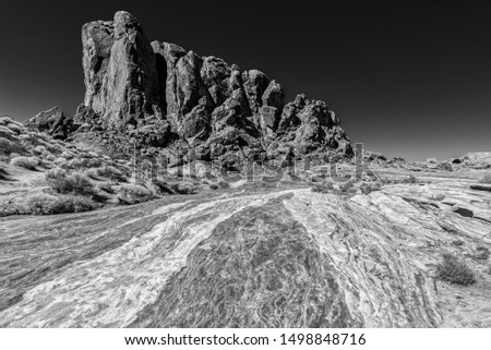 Similar – Image, Stock Photo desert guard Colour photo