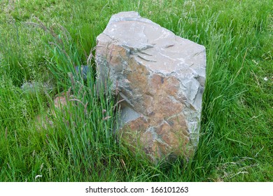 rock in the grass