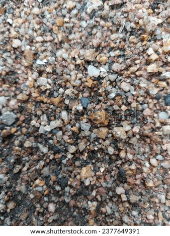 rock, gravel,grit,sand gravel,small stone, plant, natural, nature 