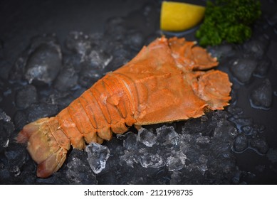 Rock Lobster Moreton Bay Bug, Flathead lobster shrimps on ice, Fresh slipper lobster flathead boiled for cooking in the seafood restaurant kitchen or seafood marke