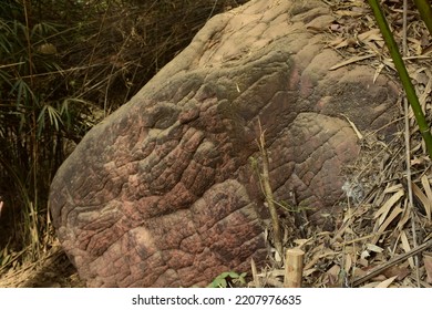 The Rock Looklikes  Big Snake