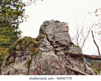 Rock in the mountain