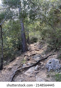 Rock Mountain Uphill Trail. Chalysh Mountain In Kemer, Turkey