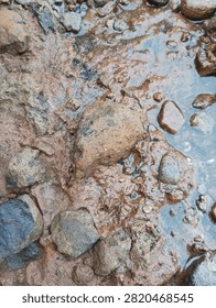 rock on the wet mud,there are a lot of Tiny rock too