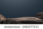 Rock Podium stand display product, Show cosmetics with studio blue light wall room background well free space for text, Cliff Brown stone clipping path 