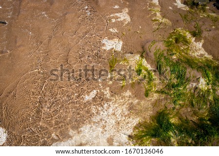 Rock pool with sand, seaweed and white stones