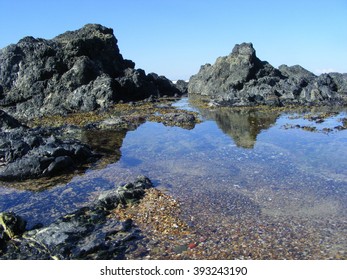 Rock Pools 