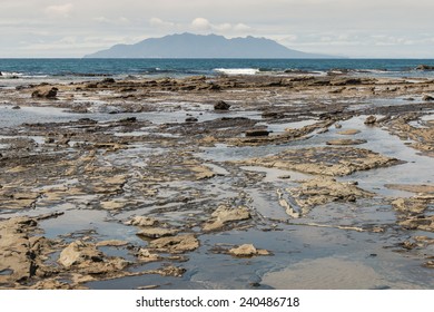 Rock Pools At Omaha Bay Beach In New Zealand