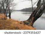 The Rock River near Fort Atkinson, Wisconsin, in fall