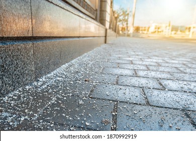Rock salt crystal sprinkled on paving slabs to avoid slippery surface. Spreading rock salt, keeping sidewalks slip-free all season long. Spread de-icing reagents on sidewalk for melting ice and snow