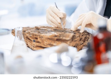 Rock sample in geology science laboratory research, mineral soil test in chemistry lab industry analysis work, geological stone material from nature with scientific equipment for industrial business