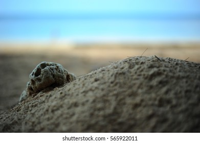 Rock and sand.