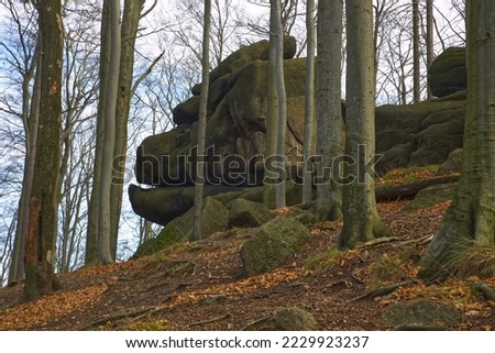 A rock shaped like a gorilla’s head in Jizera Mountains in Czech Republic