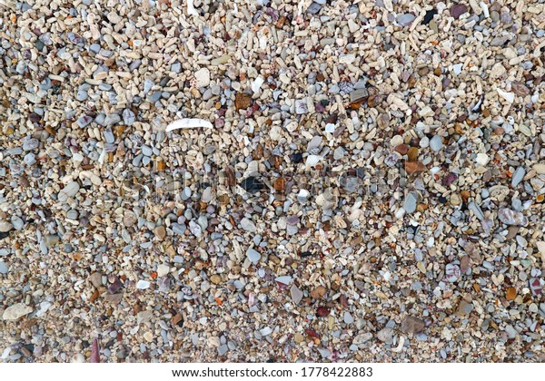 Rock Shells On Beach Stock Photo 1778422883 | Shutterstock