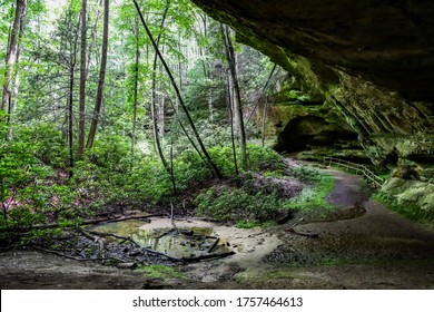 Rock Shelter Leading To Cave In Pickett State Park