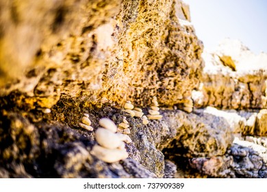 rock at shore