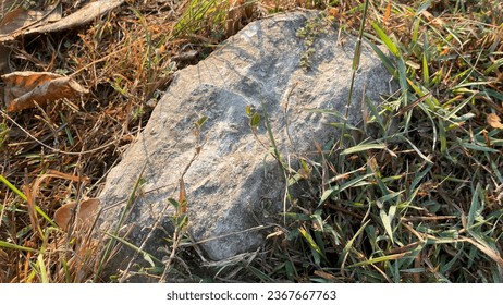 The rock is sitting on a slightly elevated patch of ground, surrounded by a field of green grass. The grass is tall and lush, and it is a variety of different shades of green.