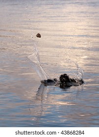 Rock Skipping On Water