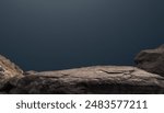 Rock stone podium stand display product, cosmetics with studio blue light wall room background well free space for text, Cliff stone clipping paths 