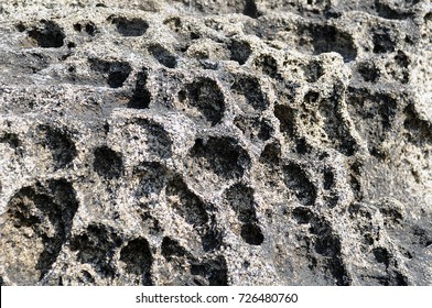 Rock with strange surface and round holes