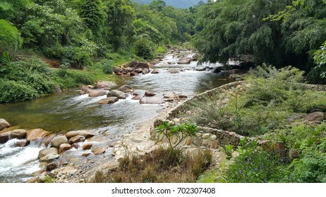 rock and stream