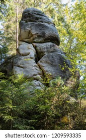 A rock surrounded by trees.