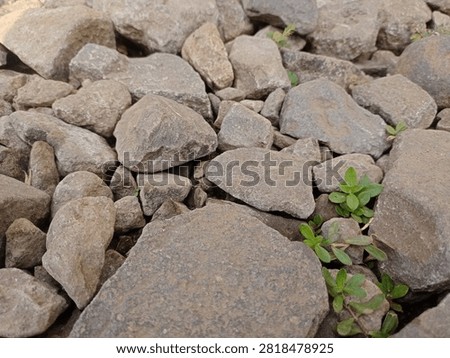 The rock texture appears rough and irregular, resembling macadam or crushed stone.