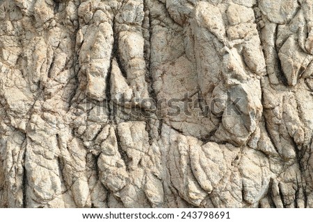 Rock Texture and Background