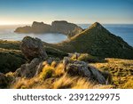 Rock tor above Rugged Islands, Rakiura Stewart Island, New Zealand